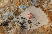 Sand Rocks - Lichen 17-2496b_1